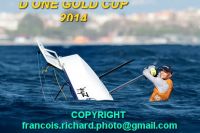 d one gold cup 2014  copyright francois richard  IMG_0045_redimensionner
